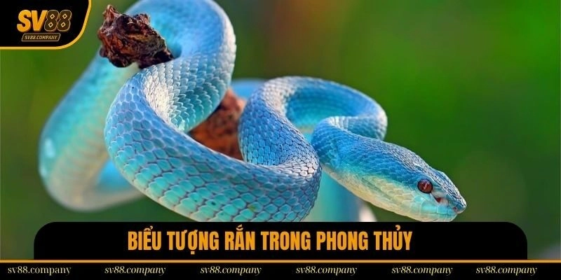 Biểu tượng rắn trong phong thủy thể hiện sức mạnh tiềm ẩn