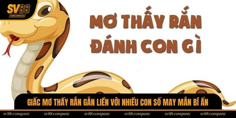 Giấc mơ thấy rắn gắn liền với nhiều con số may mắn bí ẩn