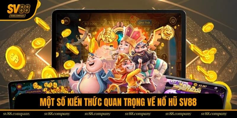 Kiến thức cơ bản cần nắm nếu muốn trở thành cao thủ quay hũ