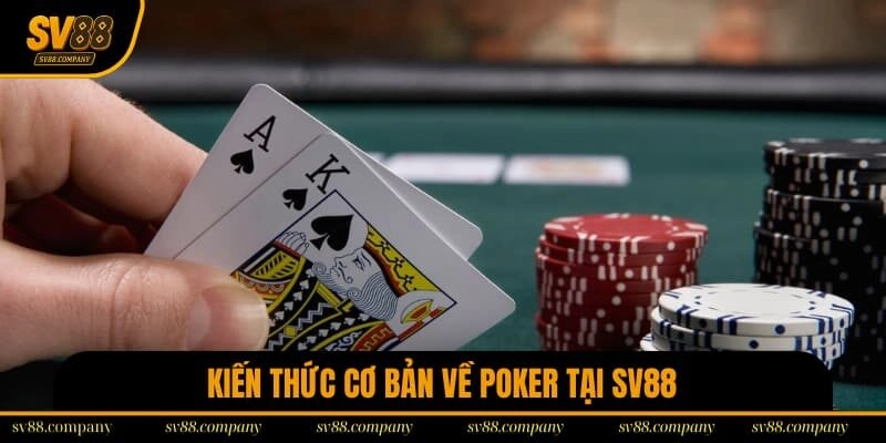 Thông tin cần lưu lại để thuần phục bộ môn Poker